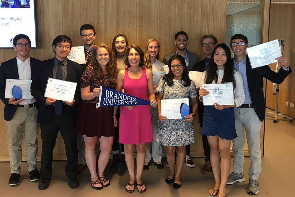 Group of students from the Summer 2017 Brandeis in The Hague program