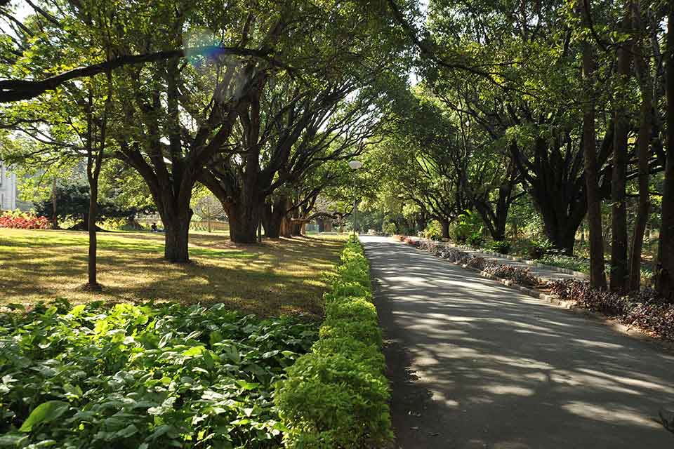 A walkway at the Indian Institute of Science
