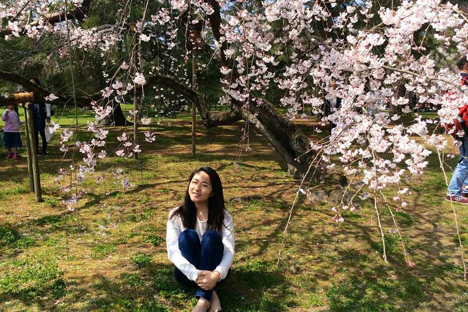 Frances Chang with cherry blossoms