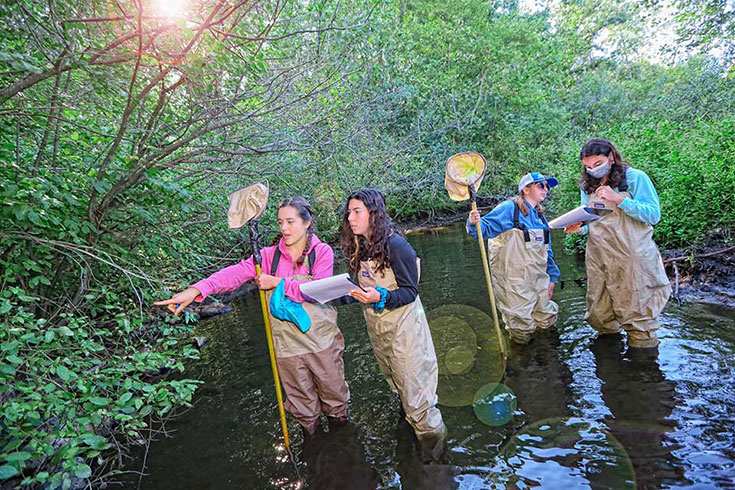 Four students holding nets and notepads conduct research in a river