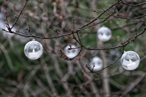 Clear ornaments with battery-powered candles hang from barren tree branches.