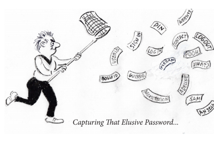 Man runs with a net, trying to catch slips of paper falling from the sky. Text below reads, "Capturing that illusive password..." 