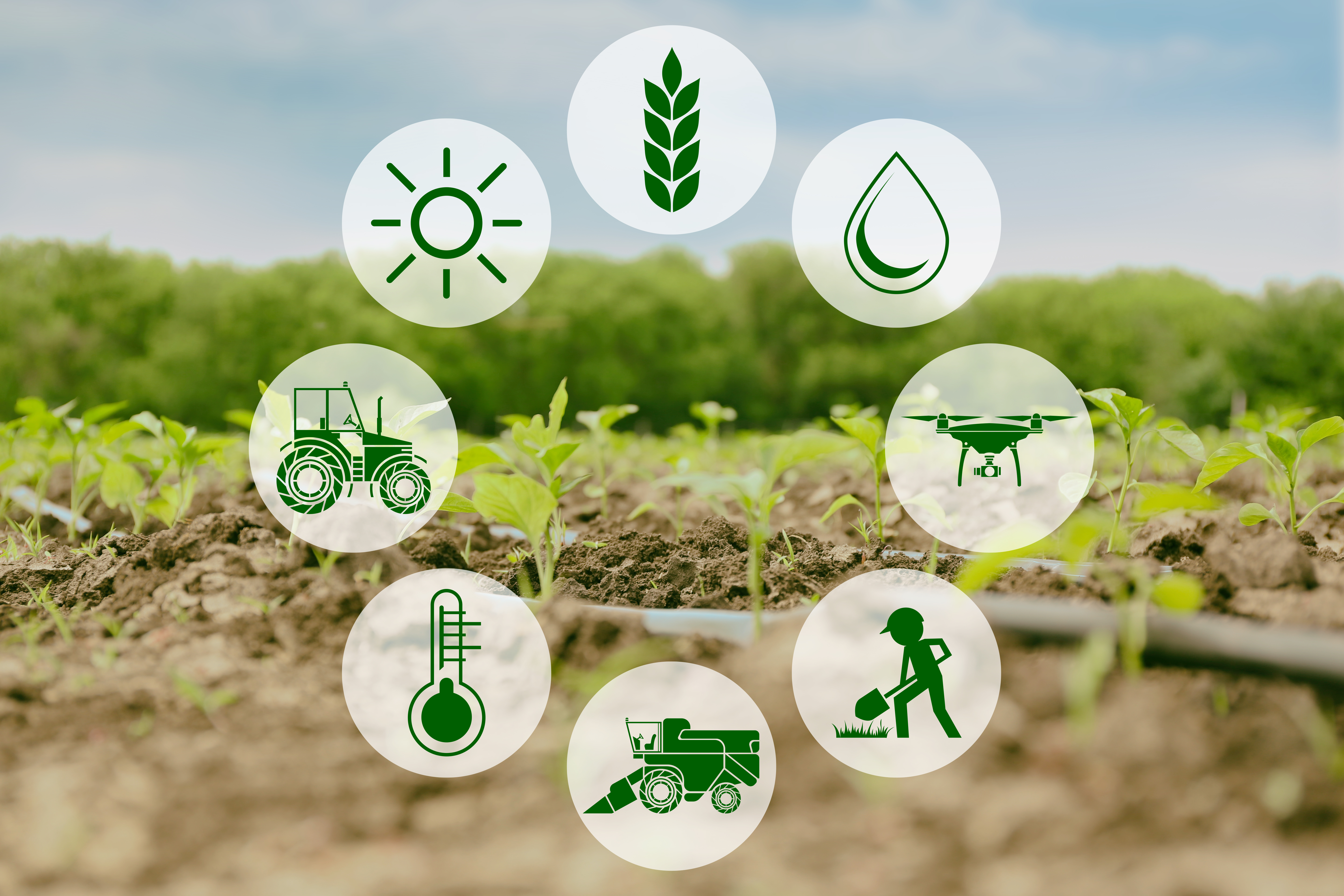 Icons for concept of smart agriculture and modern technology and field in background