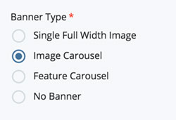 Options for banners with radio buttons