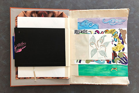 The back of Schorr’s page is black with a splash of pink paint sneaking around the left edge.  The seventh page is artist Adeline Skovronek. This page is the smallest so far. It is a colored pencil drawing of a black pepper plant. The smaller size of the page alongside both the imagery and the hand quality of the drawing set a duality between its preciousness and the sharp taste pepper delivers.