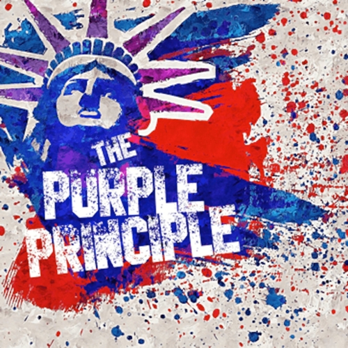 The Purple Principle logo, over a background of red and blue splattered paint that comes together in a purple triangle.