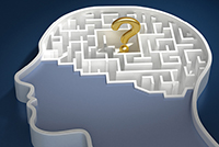 Image of the Brain as a Maze