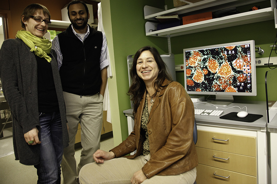 Neuroscience Professor Gina Turrigiano