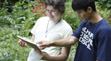 Thumbnail photo of Brandeis Experiential Learning