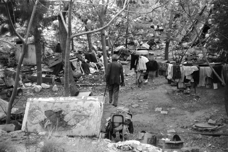 Man walking in a junk-filled clearing amid a small number of skinny trees trees