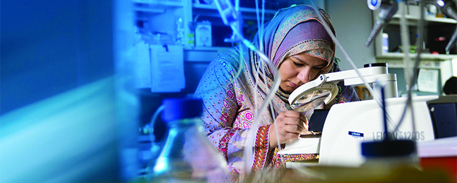 A woman wearing a hijab peers into a microscope.