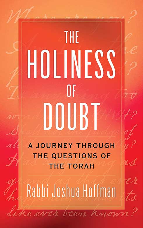 Book cover for The Holiness of Doubt: A Journey Through the Questions of the Torah