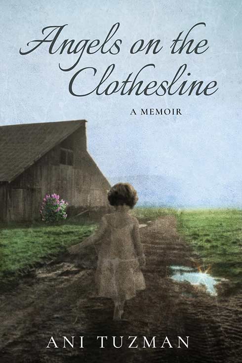 Book cover for Angels on the Clothesline