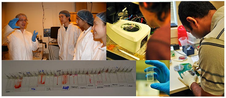 2016 MRSEC Microfluidics
