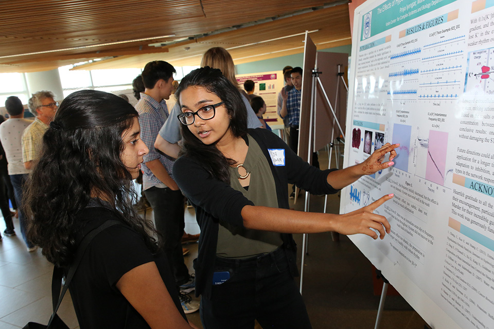 Undergraduate Brandeis student presenting a poster at SciFest. 