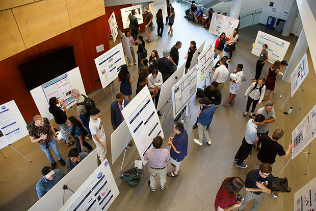 People looking at poster sessions at SciFest 2019