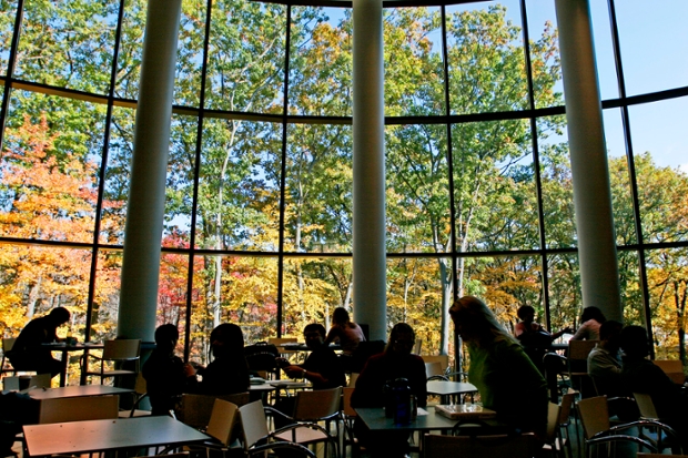 a view of changing autumn leaves from inside a lounge with huge windows at the Brandeis International Business School