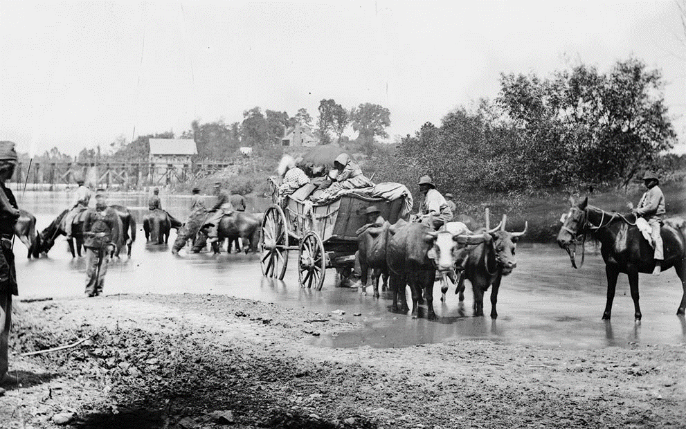 black and white photo of escaping slaves and soldures in a river with a wagon being pulled by oxen