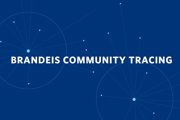 contact tracing at Brandeis logo