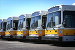 Picture of MBTA busses
