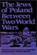the jews of poland the jews of poland
