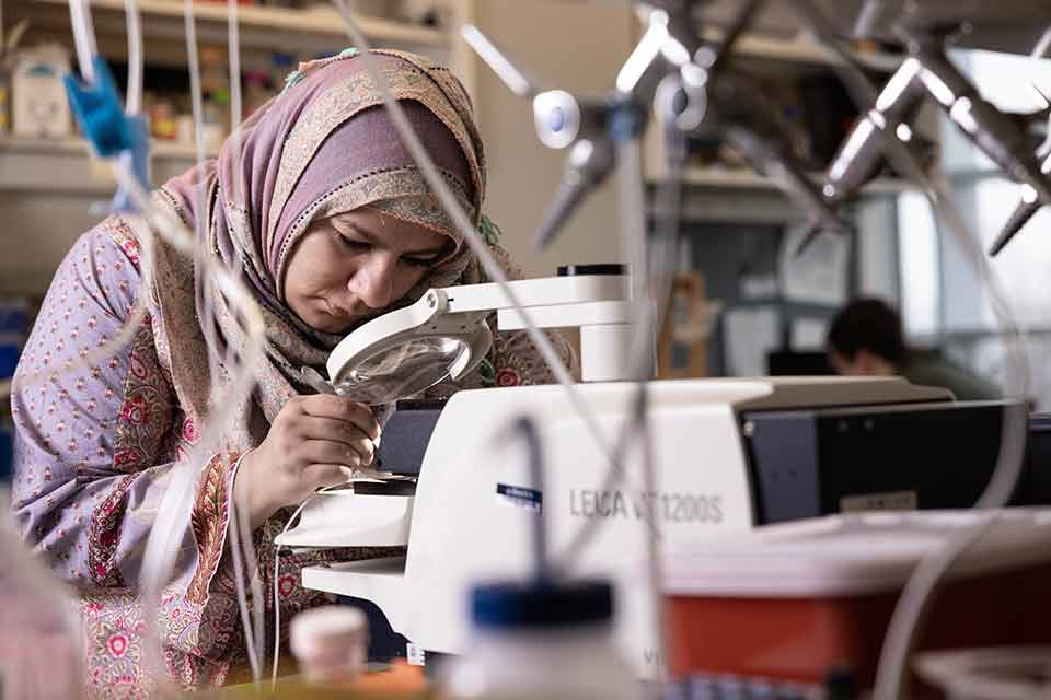 Graduate student researcher uses equipment in a lab