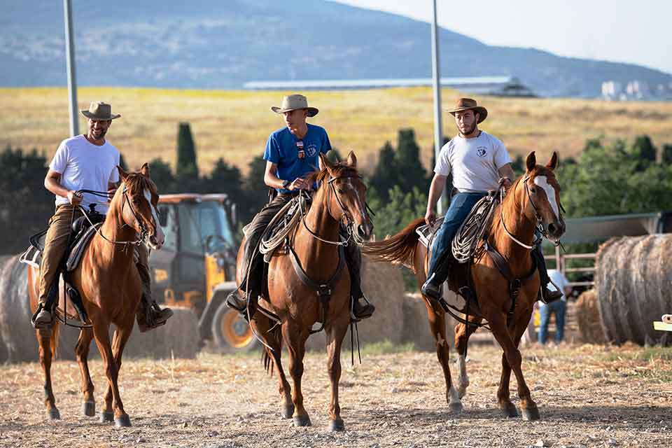 People on horseback herding cattle