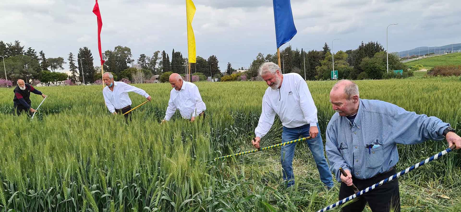 Community members working in the field