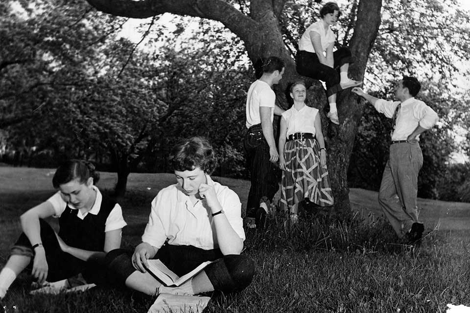 A group of students read and talk beneath a tree.