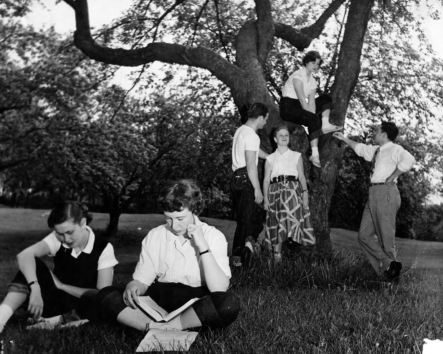 A group of students read and talk beneath a tree.