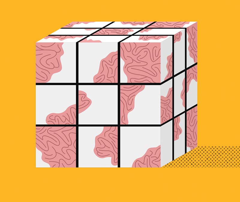 An illustration of an out-of-order Rubik's Cube of brain segments.