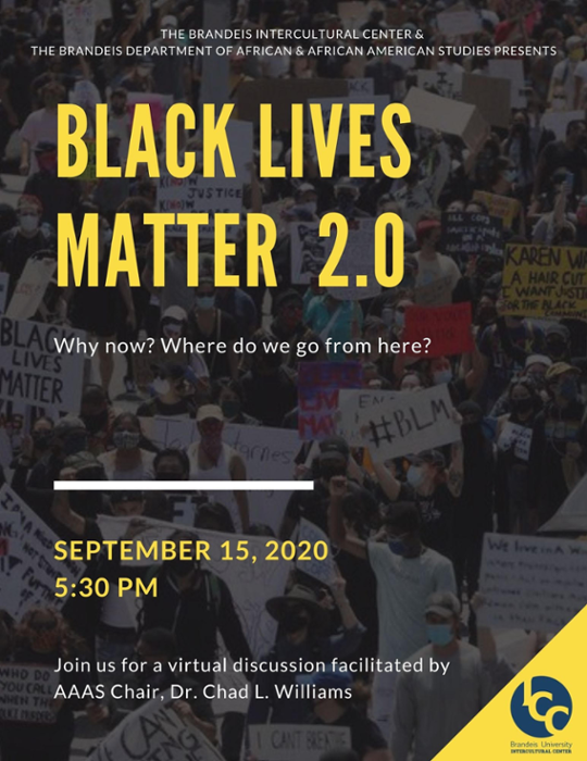 Black Lives Matter flyer. Why now? Where do we go from here?