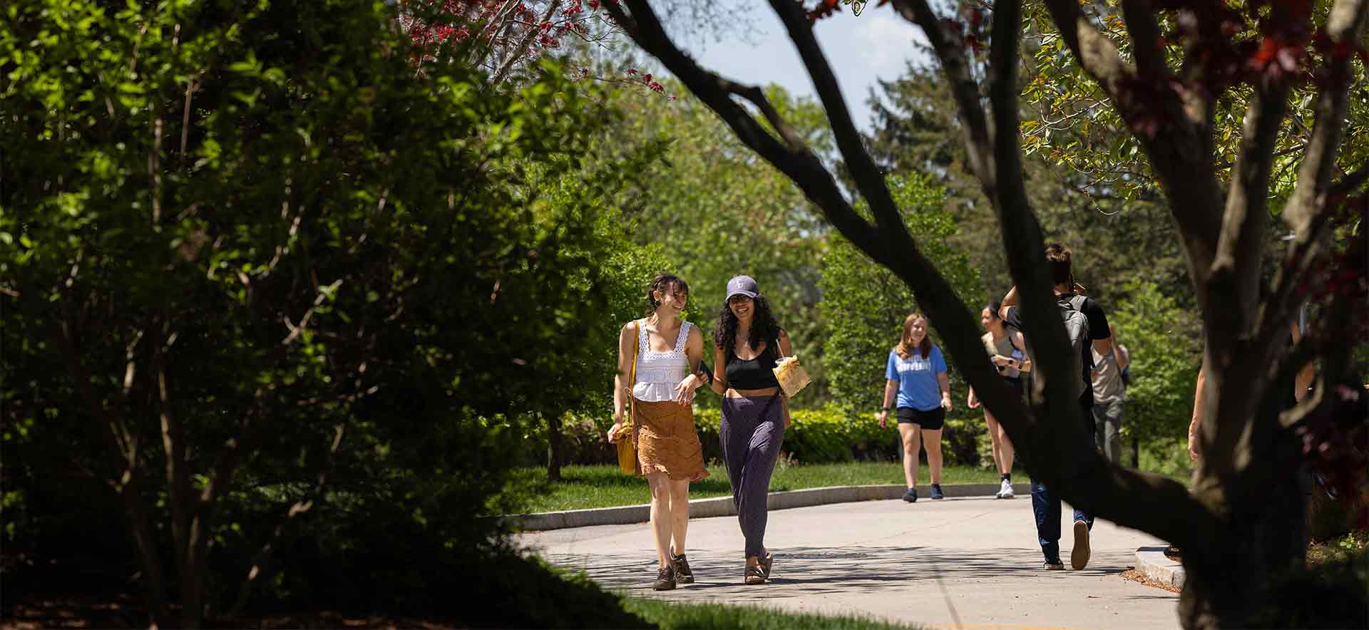 Students walking on campus with trees in the foreground