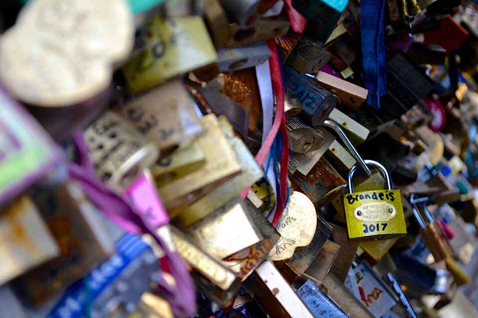 Padlock with Brandeis 2017 written on it locked to a fence with other locks