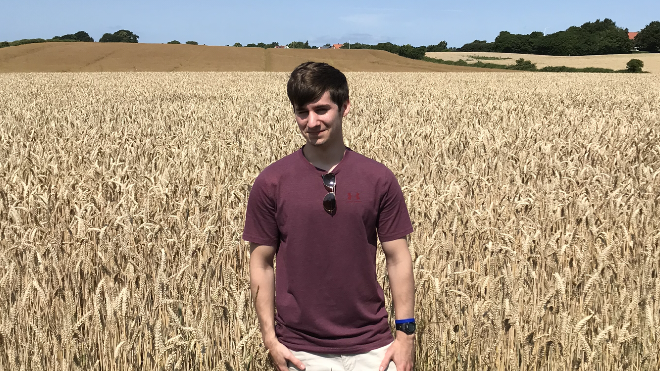 Ian standing in a corn field on a bright sunny day.