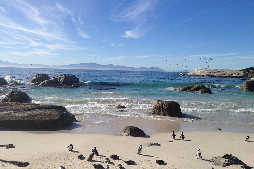 A beach with sand overlooking the ocean