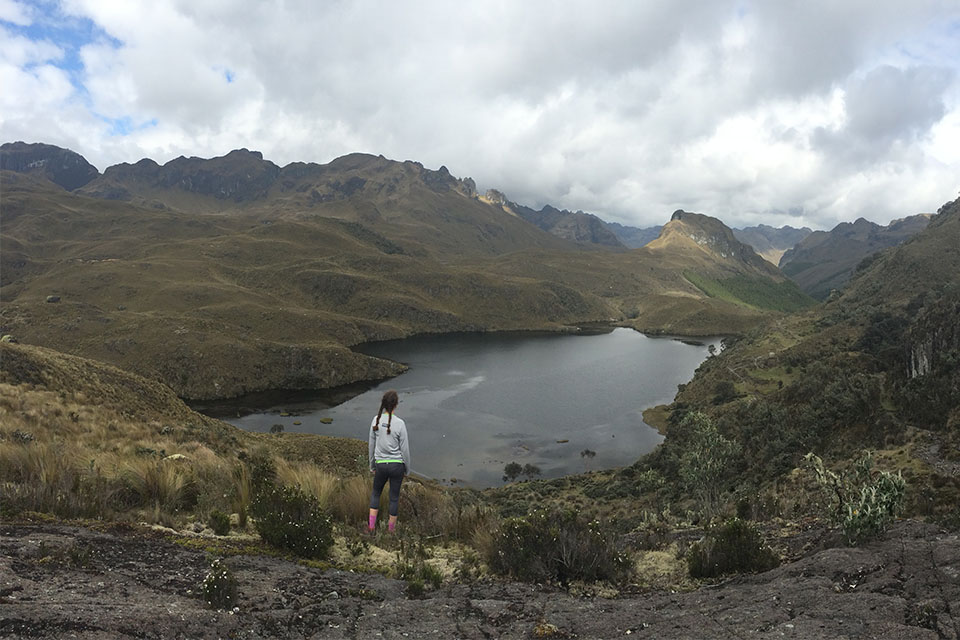 A person looks off at a vast landscape