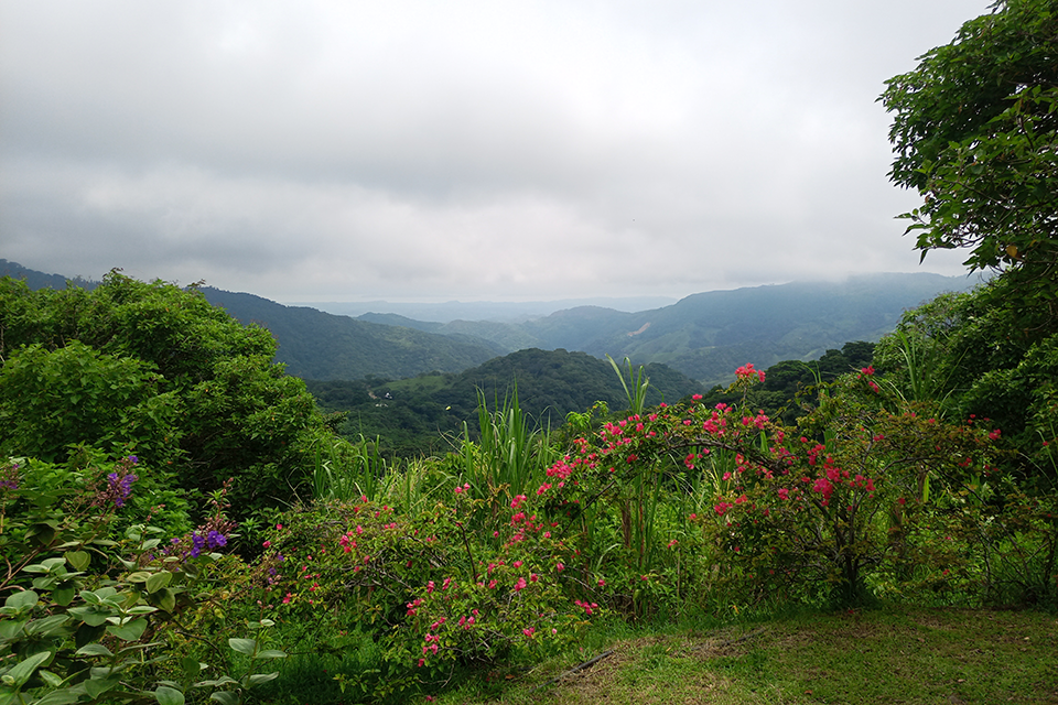 Aerial view overlooking the jungle in Costa Rica