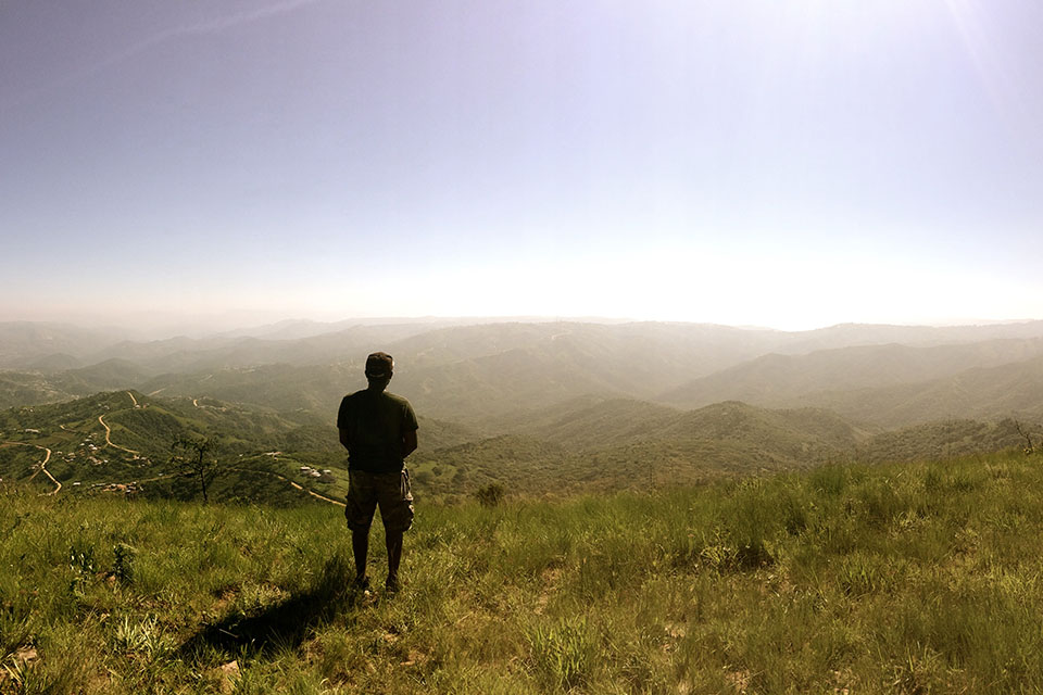 standing in a field