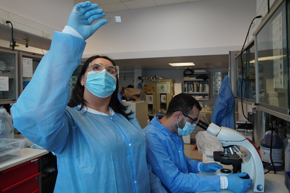 One student gazing up into a slide reader while the other looks into a microscope
