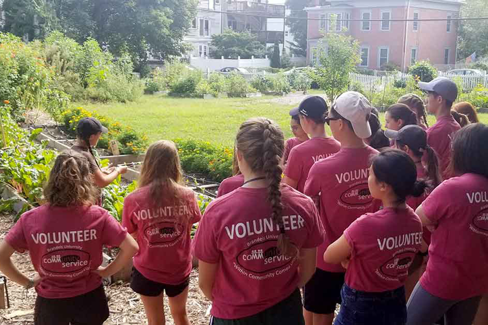 A group of students look at a community garden while wearing red t-shirts that say "volunteer"
