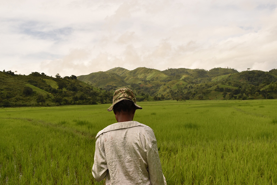 man walking through grassy field in Madagascar