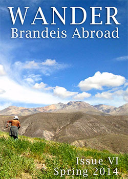 Wander Issue 6