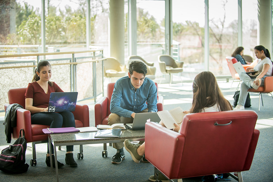 Students working on computers in a bright study area