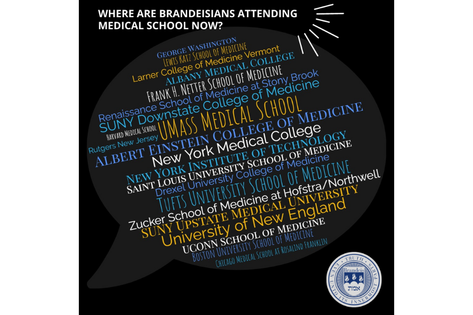 Where are Brandeisians Attending Medical School Now?