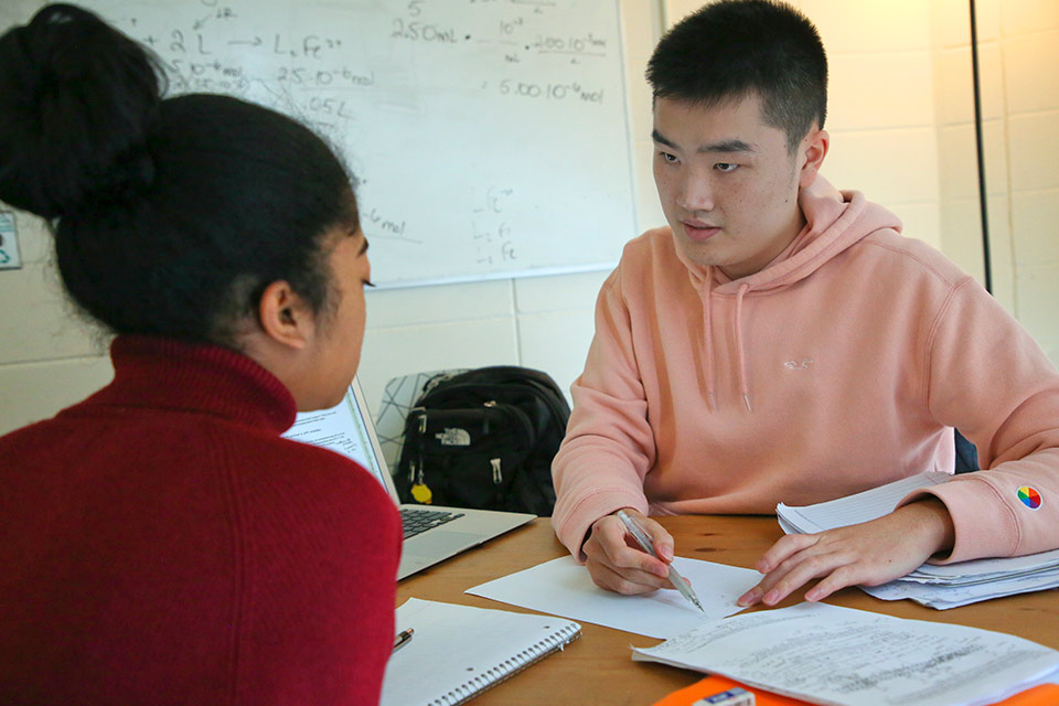 Two students studying together