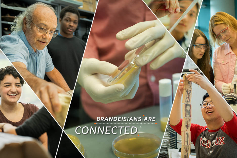 A collage image of faculty and students with the text Brandeisians are Connected in the middle