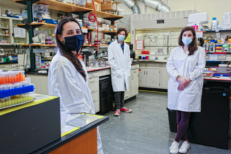 Undergraduate student wearing a lab coat and mask and standing in a science lab along with two PhD students who are also wearing lab coats and masks.