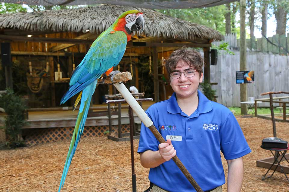 Ori holds a pole where Sydney, a colorful macaw, is perched.