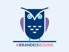 One owl waving purple wings and blue legs with hashtag brandeisbound